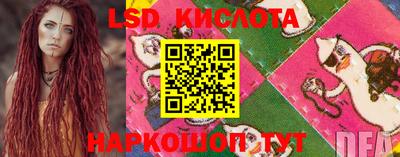 гидропоника Краснодар