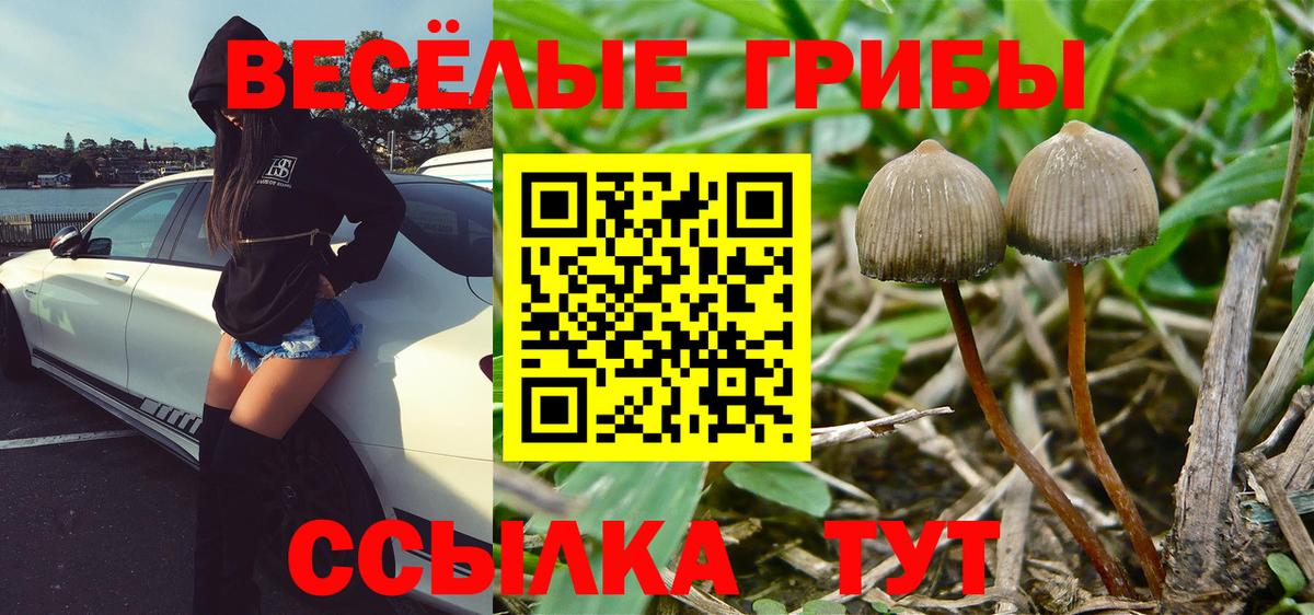 хочу   Галлюциногенные грибы мухоморы  Вход с VPN  Аксай 